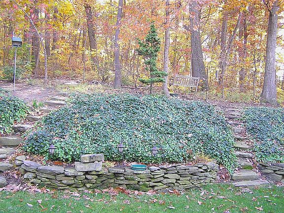 Backyard (center)