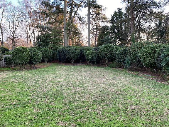 Large, private, fenced in backyard. Established Camellia garden. Great for playing ball.