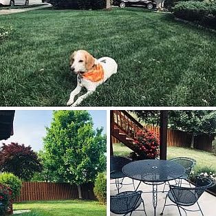 Front yard, backyard, and patio.