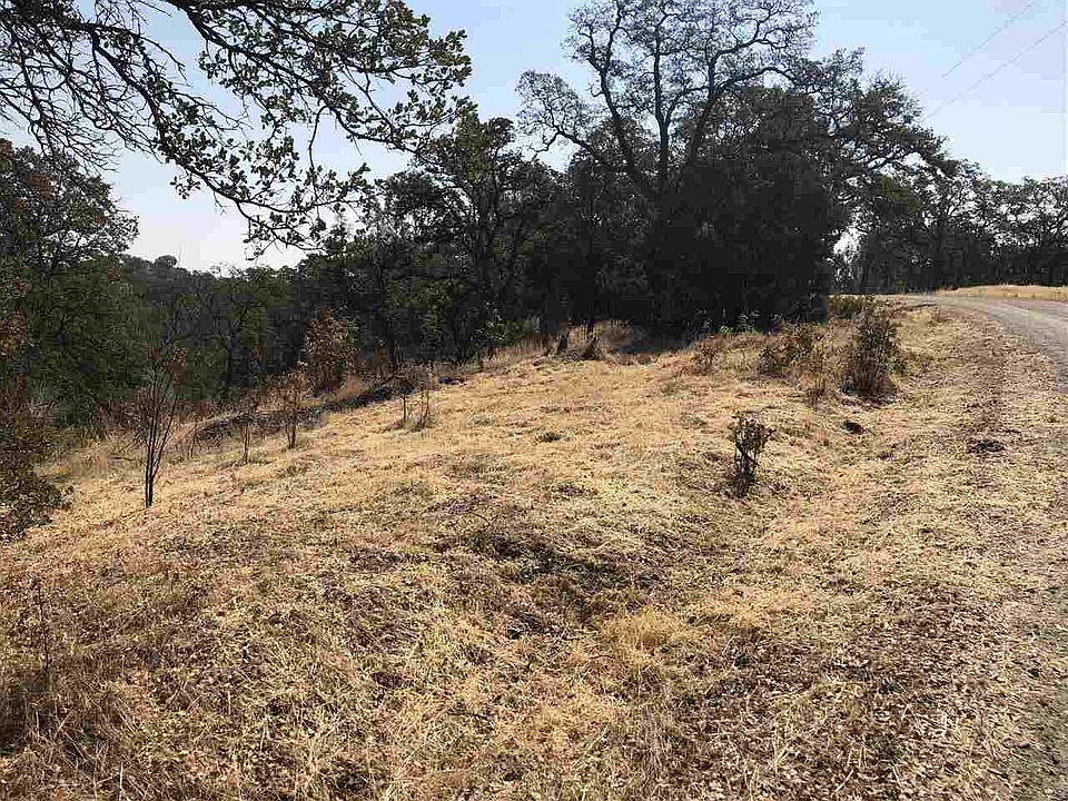 2nd image of 7010 Remunda Rd