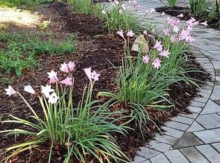 310 Mehlenbacher Rd, Belleair, FL 33756