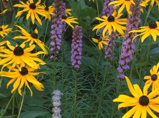 311 Stonewall Dr, Bristol, VT 05443