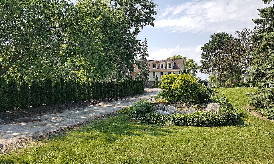 Tree Lined Driveway