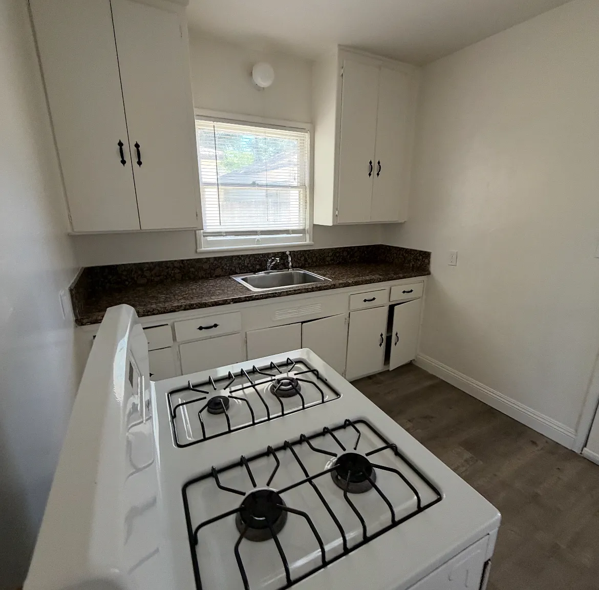 1 bed, $995 — Photo 3
