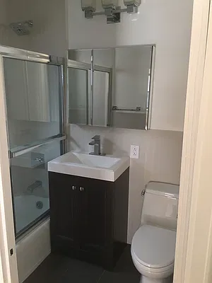 Rented by Manhattan Apartment Organization | media 42