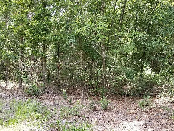 5th image of 204 SW Bambi Ln