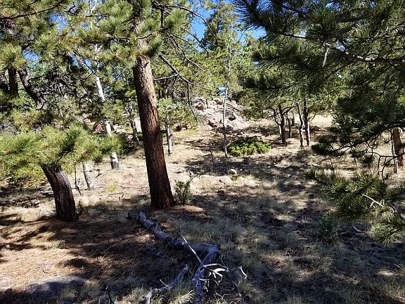 4th image of 156 Rock Dr