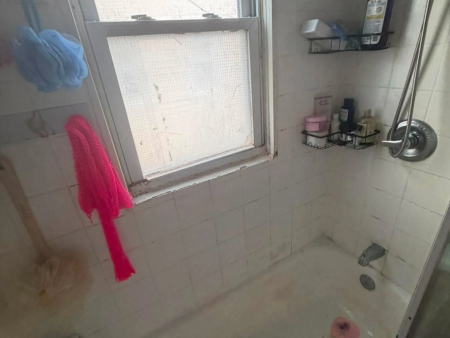 4 bed, 999 sqft, $3,600 — Photo 4