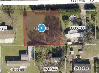 Alleycat Rd LOT 17, Astor, FL 32102