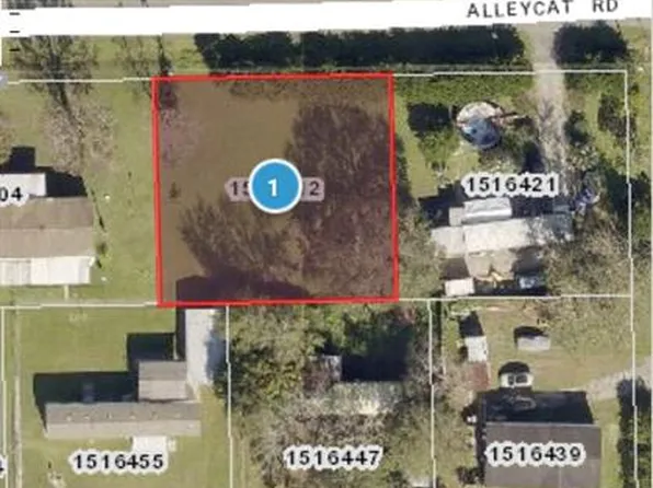 Alleycat Rd Lot 17, Astor, FL 32102