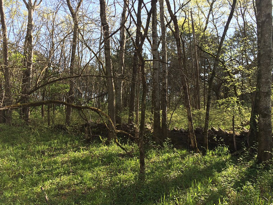 2nd image of Jackson Ridge Rd