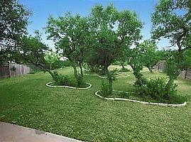 Back Yard w/17 trees on 1/3 acre