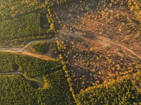 0 Sand Hill Rd, Brandon, MS 39047