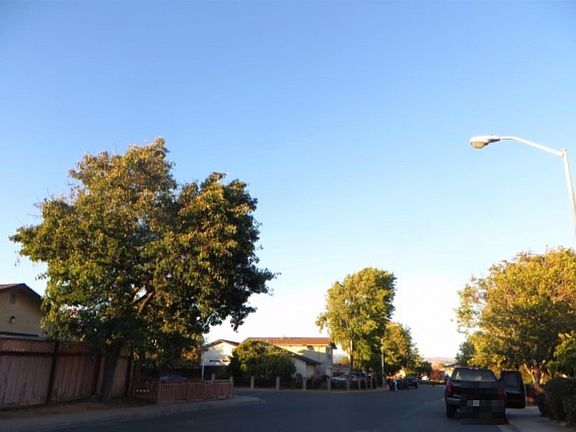 5th image of 4819 Rose Way