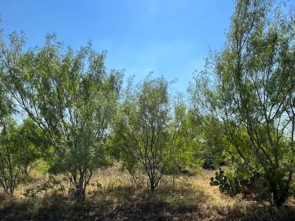TBD Cr 3435 LOT 16 LOT 16, Pearsall, TX 78061