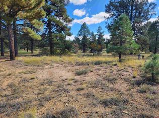 144 Mansions Cir, Pagosa Springs, CO 81147