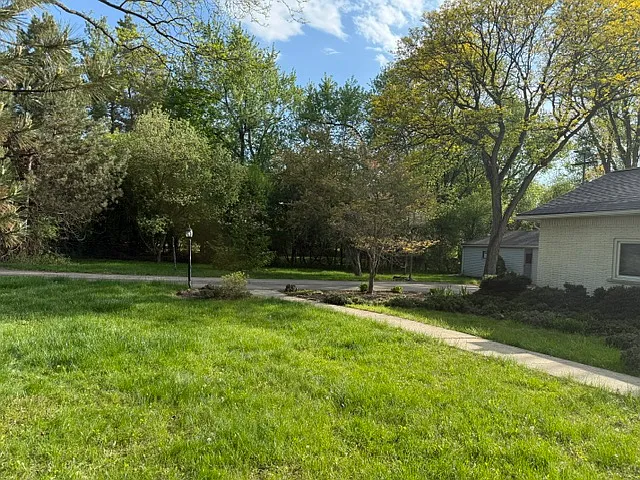 30475 Birchway Dr — Photo 20