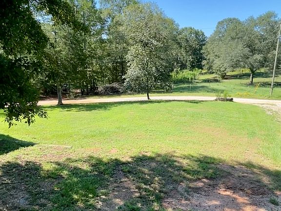 Front yard persimmon tree