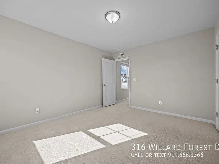316 Willard Forest Dr — Photo 29