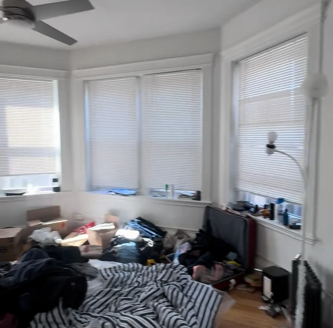 3 bed, 700 sqft, $1,600 — Photo 3