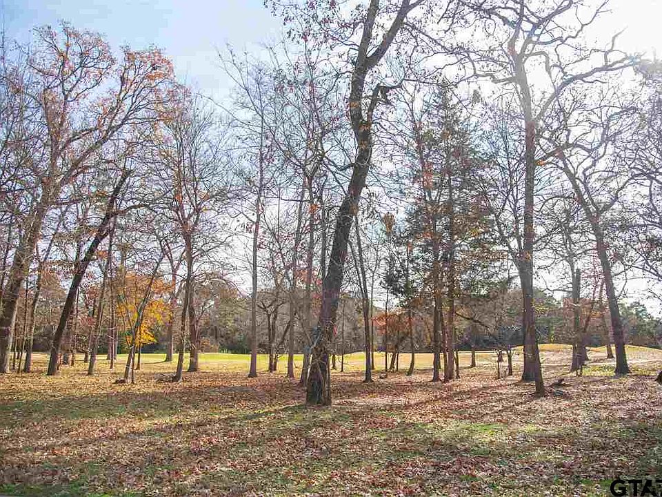1st image of 183 S Eagles Bluff Blvd