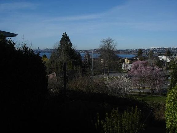 View of Lake & Olympics!