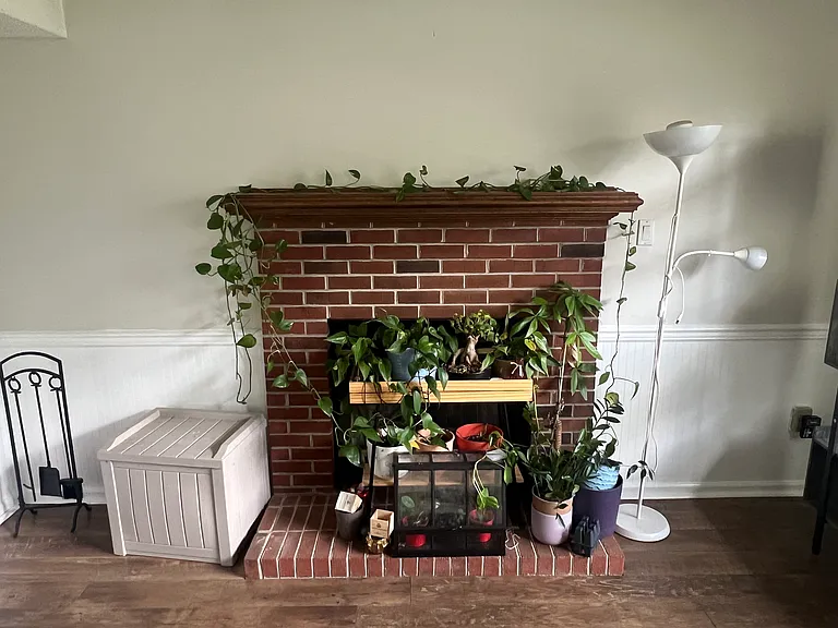 2733 Inglewood Ln — Photo 9