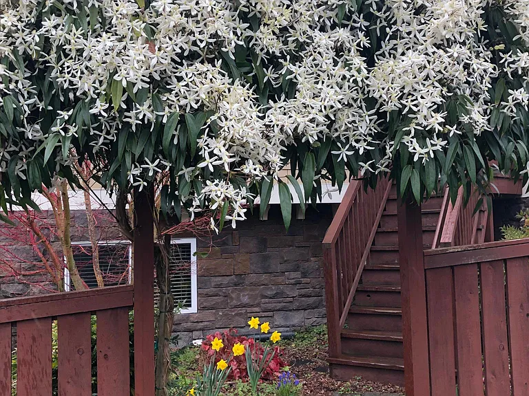 small front yard garden and point of entry to the house