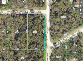 Top Rock Dr LOT 7, Webster, FL 33597