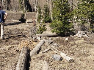 588 E Spiney Ln, Brian Head, UT 84719