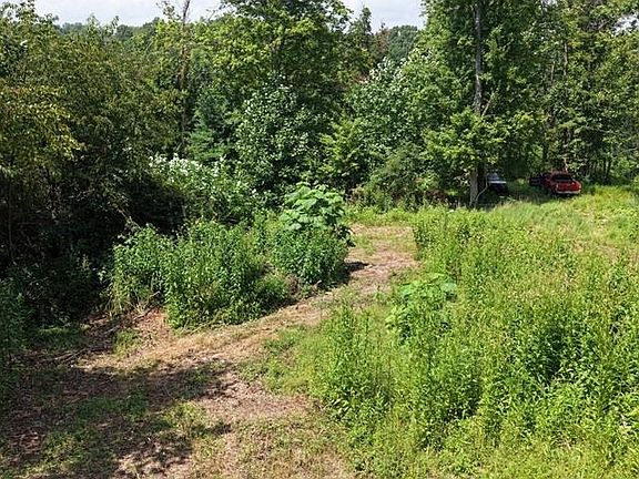 5th image of Baptist Hollow Rd
