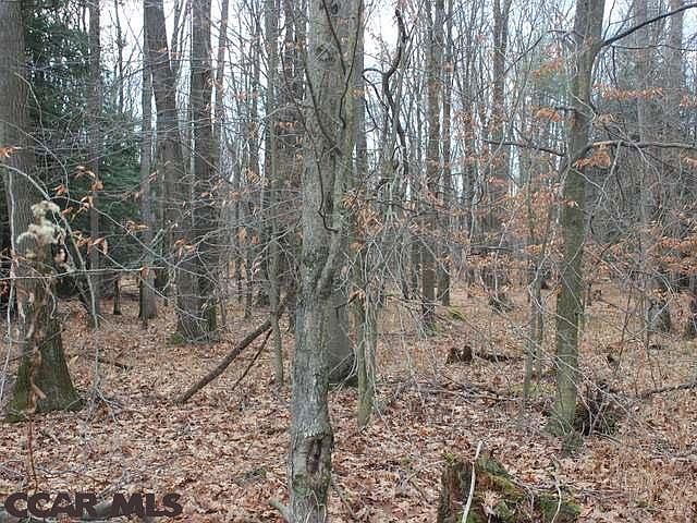 2nd image of Hemlock Rd.