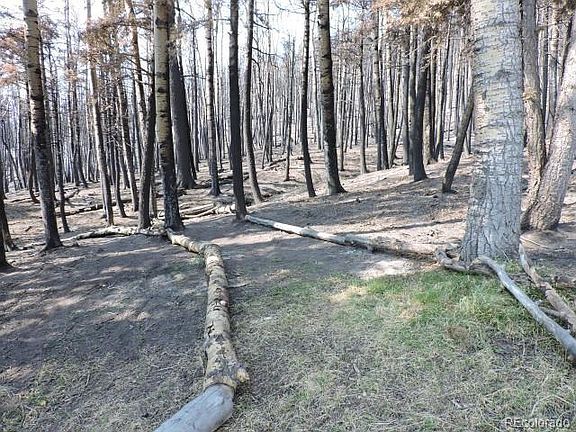 4th image of 2337 Strauss Dr