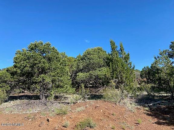 3rd image of 1655 E Lomaki Ln