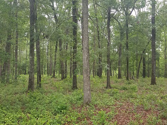 Hardwood Area