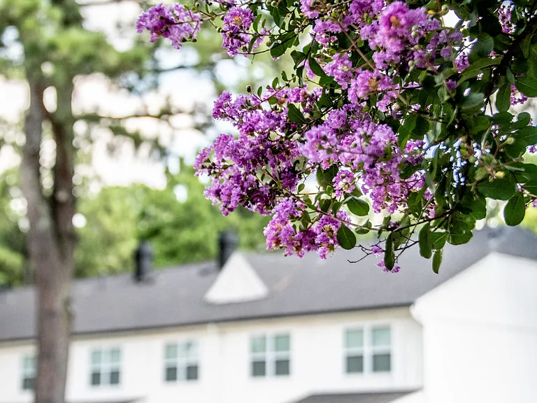 The Garden District Apartments — Photo 16