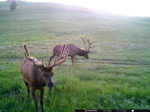 Indian Creek Rd, Townsend, MT 59644