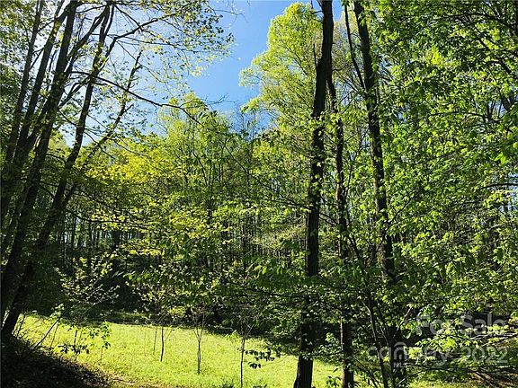3rd image of 60 Trillium Ln