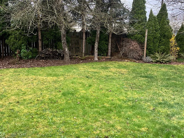 Front yard
