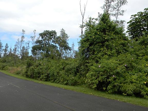 5th image of Anthurium Dr Lot 65
