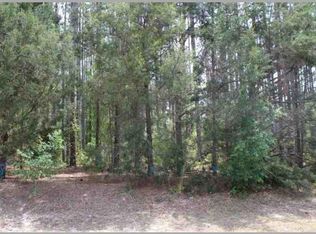 Bill Collins Rd, Eustis, FL 32736