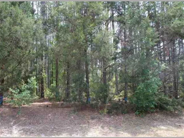 Bill Collins Rd, Eustis, FL 32736