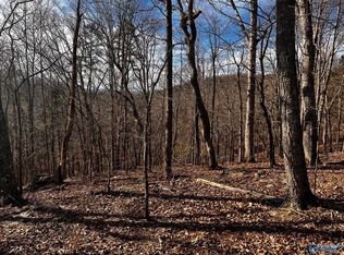 Holcomb Ridge Rd, Woodville, AL 35776