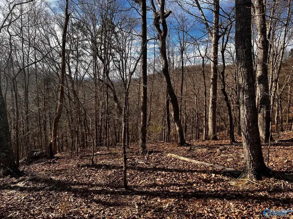 Holcomb Ridge Rd, Woodville, AL 35776
