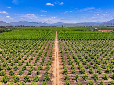 23496 E Lincoln Avenue, Reedley, CA, 93654