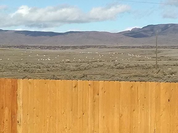antelope - adjacent BLM land