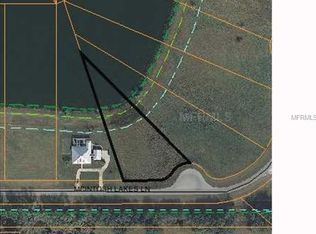 13014 McIntosh Lakes Ln, Dover, FL 33527