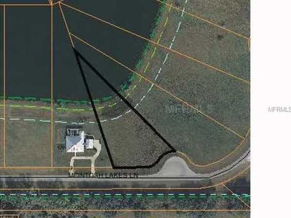 13014 McIntosh Lakes Ln, Dover, FL 33527