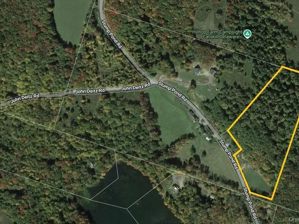 TBD Stump Pond Road, Livingston Manor, NY 12758