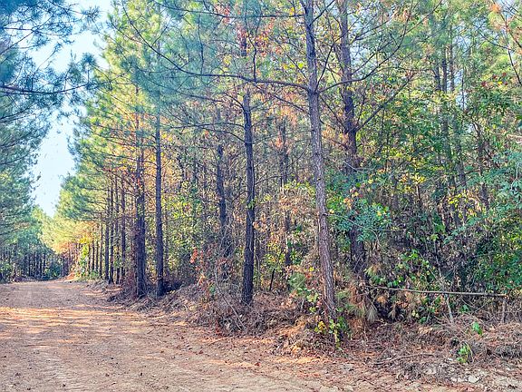 4th image of 0 Highway 232 S Lot 2